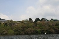 IMG_1168.JPG